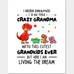 I Never Dreamed I'd Be This Crazy Grandma With The Cutest Grandkids Ever Posters and Art